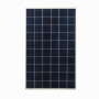 UPS / Panel Solar Generico POLI-275W POLI-275W 275W 30Vmp MC4 Policristalino Panel Fotovoltaico 60-Celda 165x99x3,5cm