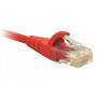 Cable Cat6A Nexxt Solutions Infrastructure PCGPCC6CM01RD PCGPCC6CM01RD Patch Cord UTP multifilar Cat6A 30cm Rojo