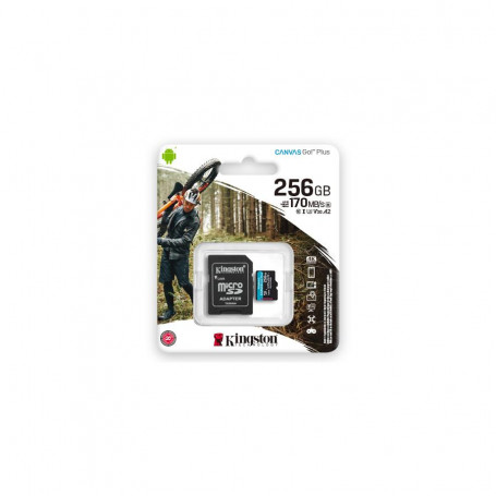 Memoria Flash y acc Kingston SDCG3/256GB 256gb microsdxc canvas go plus 170r a2 u3 v30 card