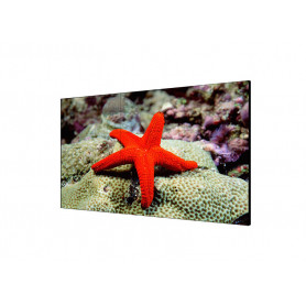 Monitores HIKVISION DS-D2046LU-Y Hikvision DS-D2046LU-Y - 46 Clase diagonal LED-backlit LCD video wall 1920 x 1080 - 1920 x 1...