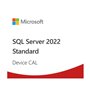 SQL Server 2022 - 1 Usuario CAL DG7GMGF0MF3T