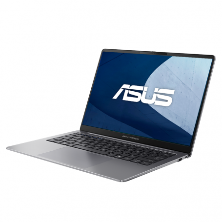 ASUS ExpertBook P5405CSA 14