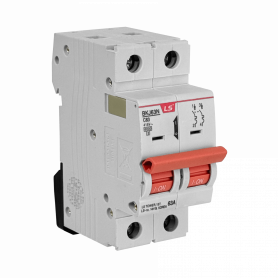 Interruptor Manual / Auto OTRAS MARCAS AUTOMATICO2-63A AUTOMATICO2-63A LS 2x63A 6kA 230/400V Interruptor Automatico 2x63A Cur...
