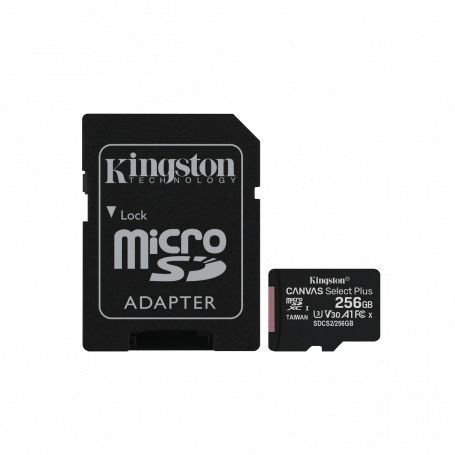 Memoria Flash y acc OTRAS MARCAS MSD-256GB MSD-256GB 256GB MicroSD c/Adaptador-SD 100/85mb/s Class10 UHS-I U3 V30 SDCS2