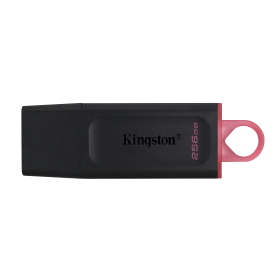 Memoria Flash y acc OTRAS MARCAS PD-256GB PD-256GB KINGSTON 256GB Pendrive USB3.2 DataTraveler Exodia DTX/256GB
