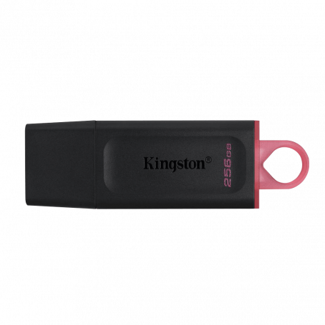 Memoria Flash y acc OTRAS MARCAS PD-256GB PD-256GB KINGSTON 256GB Pendrive USB3.2 DataTraveler Exodia DTX/256GB