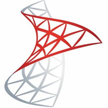 App. de negocio / Oficina Microsoft DG7GMGF0VNJS:0002 SQL Server 2025 Standard Edition Perpetual 1 Server License