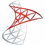 App. de negocio / Oficina Microsoft DG7GMGF0VNJS:0002 SQL Server 2025 Standard Edition Perpetual 1 Server License