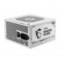 Fuentes de poder MSI 824142330258 MSI - Power supply - MAG 850GL PCIE5 blanco