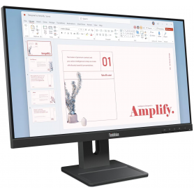 Lenovo ThinkVision E24-40 - LCD monitor - 23.8" - 1920 x 1080 - IPS - HDMI / DisplayPort / VGA - Black